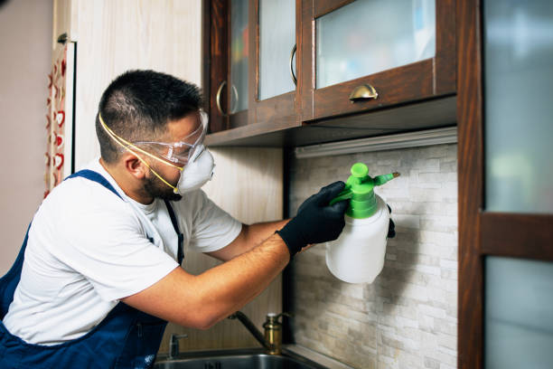 Best Residential Pest Control  in Lake Telemark, NJ